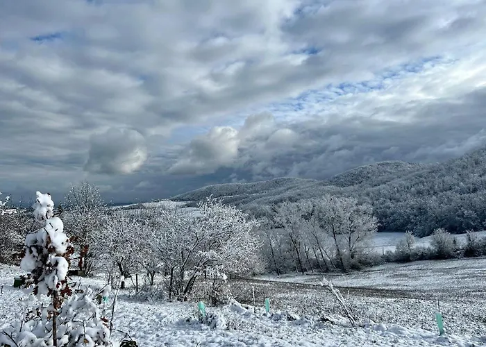 B&B Casa dei Cuori - Natura, Silenzio, relax a 550 m di quota